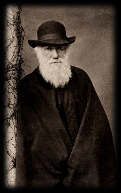 CHARLES ROBERT DARWIN (1809-1882) Publicou em 1859 sua mais genial obra: A origem das espécies por meio da seleção natural.
