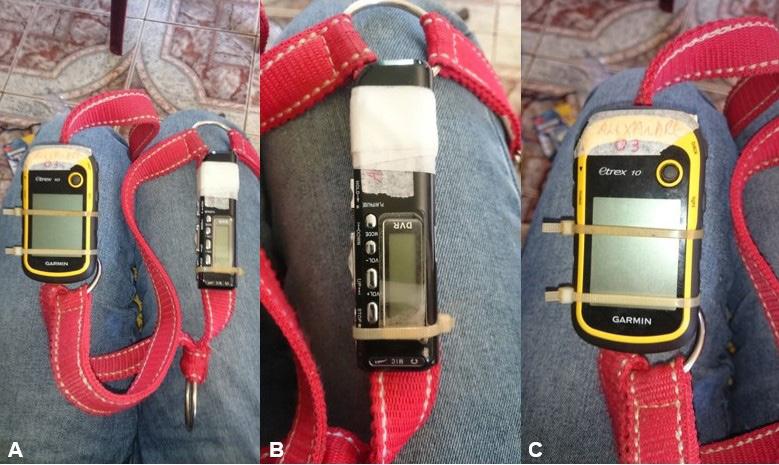 Gustavo Krahl, Alexandre Durigon, Maria Aldina Correa Ilustração 2 Buçal preparado (A) munido com gravador portátil (B) e GPS (C) Os resultados obtidos para cada parâmetro avaliado foram
