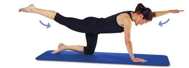 6Músculos das costas e nádegas Força Estenda uma perna e o braço oposto.