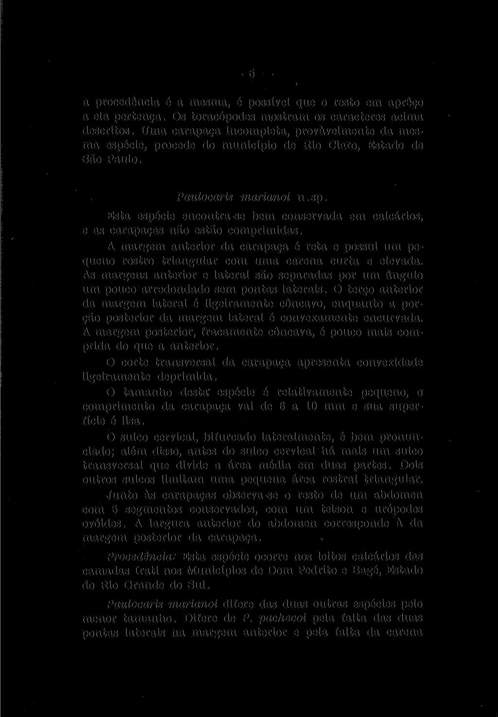 5 a procedência é a mesma, é possível que o resto em aprêço a ela pertença. Os toracópodes mostram os caracteres acima descritos.