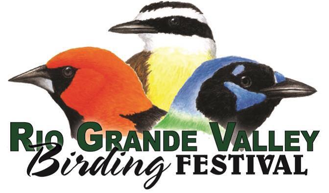 11 RIO GRANDE VALLEY BIRDING FESTIVAL 2016 ESTADOS UNIDAS DA AMÉRICA Decorreu entre os dias 2 e 6 de novembro um dos mais importantes certames Norte- Americanos no âmbito do produto Birdwatching.
