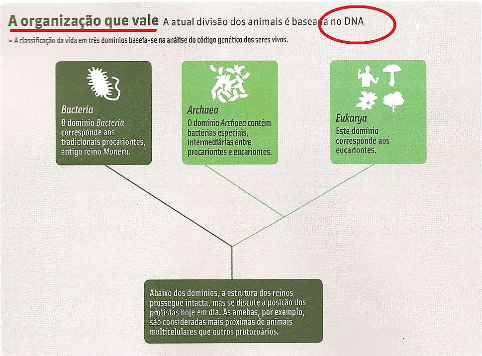 114 características adquiridas eram hereditárias (BIZZO, 1988), entretanto, posso dirigir-me a qualquer livro didático neste inicio de século para encontrar quadros com girafas e textos falando de um