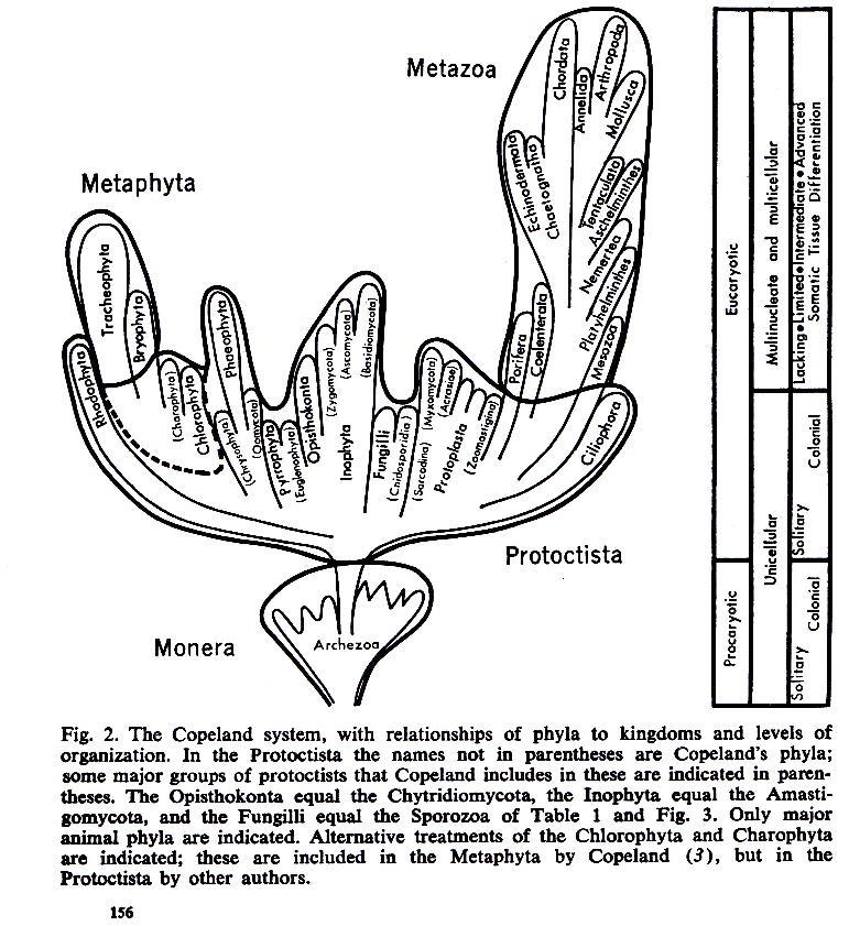 80 Figura 29