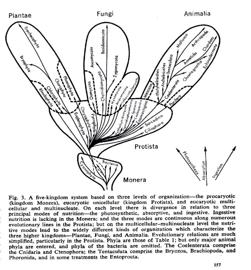 p.156 Figura 30 