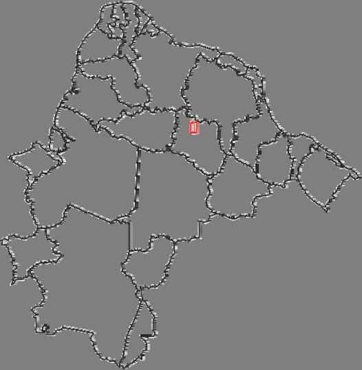 Acessos em Serviço o do SMP por UF - Densidade 2003 2004 2005 RORAIMA 22,2 29,0 29,1 AMAPA 24,5 38,9 38,4 AMAZONAS 23,0 31,6 32,2 PARA 15,6 24,1 24,4 MARANHÃO 9,1 13,9 14,6 PIAUI 9,1