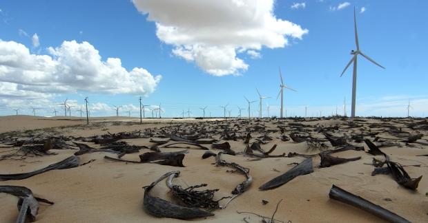 Norte Parque eólico na Reserva de