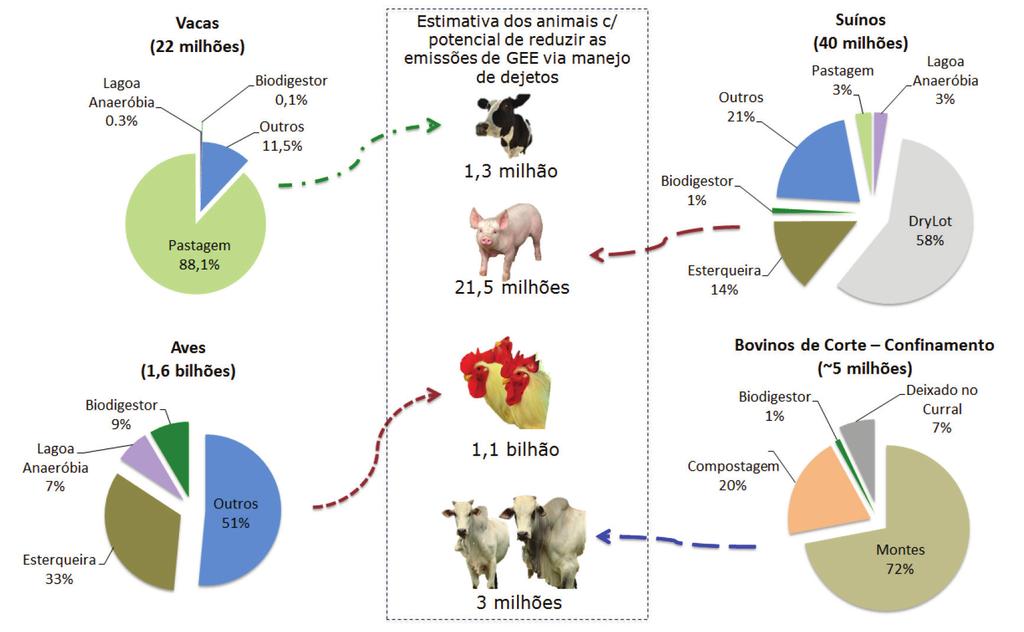 1. INTRODUÇÃO vorável para que micro-organismos decompositores desencadeiem reações que levam à emissão de GEE, principalmente N 2 O e CH 4 em sistemas de manejo de dejetos sólidos e líquidos,