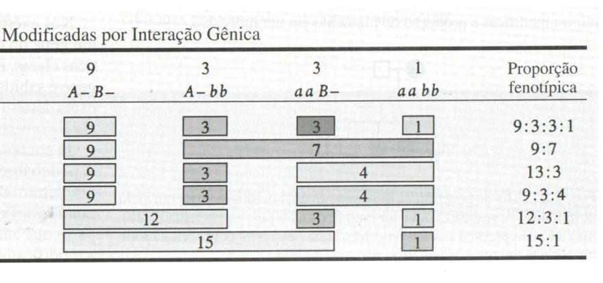 Proporções fenotípicas