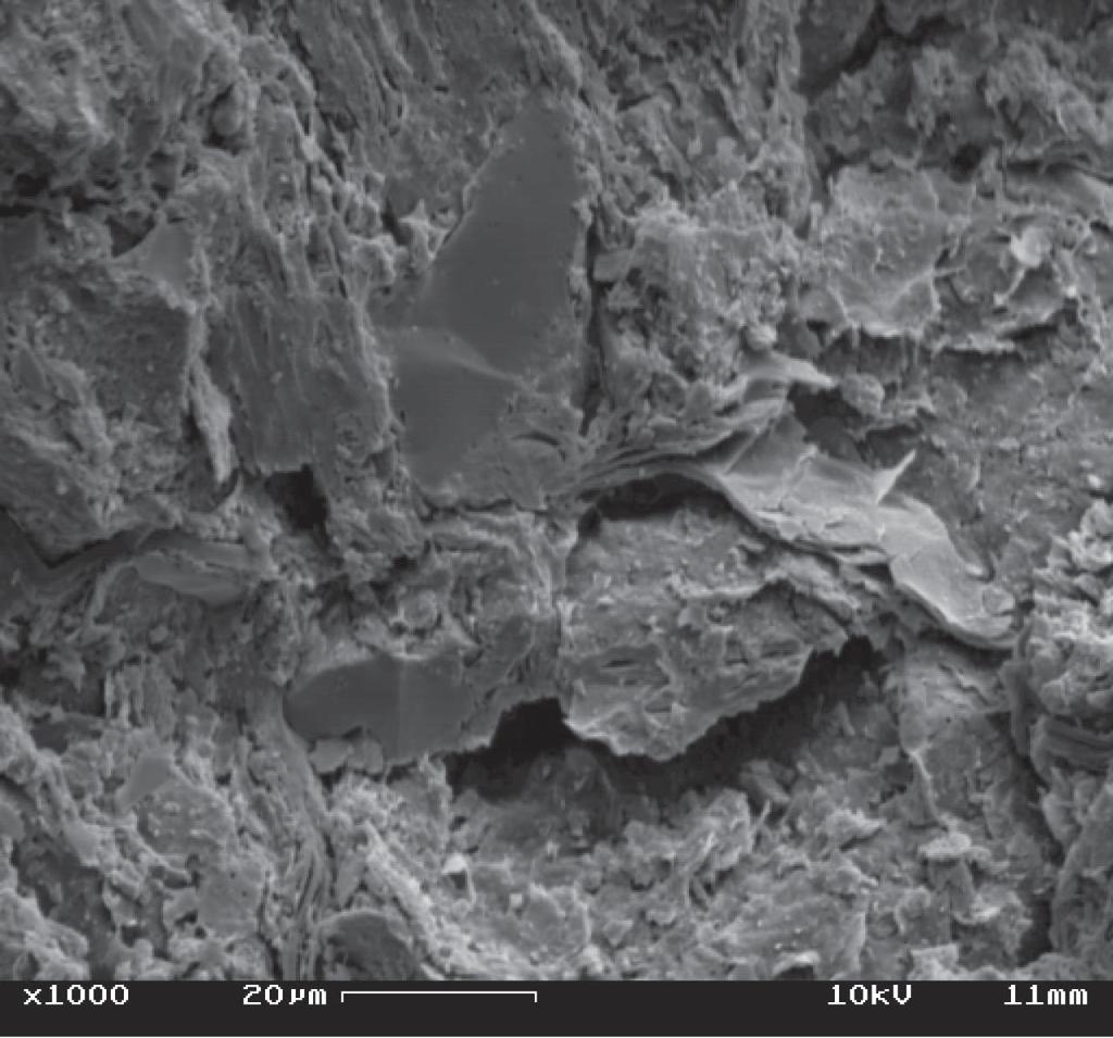 E.T. A. de Souza et al. / Cerâmica 50 (2004) 122-127 126 a mistura com 40% de granito A40G apresentam uma superfície de fratura com textura rugosa, poros de grande tamanho e fissuras. Na Fig.