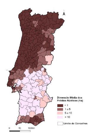 Regime propriedade A floresta portuguesa é maioritariamente privada O regime da propriedade característico - Minifúndio Estratégia Nacional para as Florestas 2006 Regulamentação