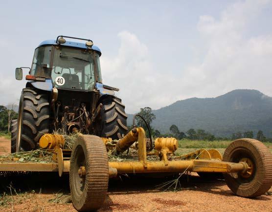 Trata-se de uma entidade reconhecida pelo Ministério dos Negócios Estrangeiros, pelo Ministério da Economia, pelo Ministério da Agricultura e do Mar e pela - Comunidade de Países Língua Oficial