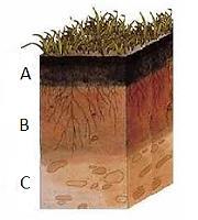 b) omo se forma uma rocha metamórfica? 18. Observe, com atenção, o esquema do perfil do solo e responda às questões.