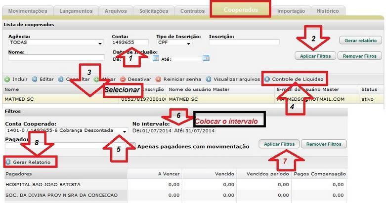 ANALISE DE LIQUIDEZ Com apenas 8 clic s é possível verificar como esta a analise