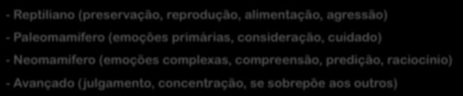 aos outros) Sistema límbico à controlador das emoções - Compartilhado por todos os mamíferos Memória límbica (nunca esquece) Memória