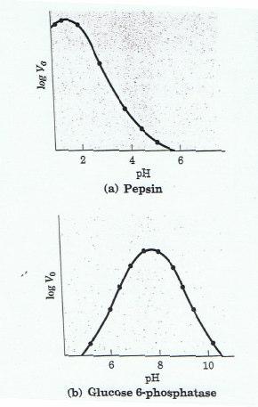 Velocidade de uma reacção enzimática DQB Função do ph O ph óptimo da actiidade de um enzima está próximo do ph do ambiente em ph óptimo que o enzima é normalmente encontrado, por exemplo: (a)pepsina