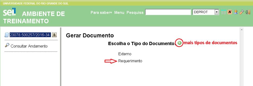 Escolher o tipo de documento. Documentos não gerados no SEI, tais como documentos advindos de outros sistemas e documentos digitalizados, são chamados de externo.