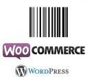 Nome: Boletos WooCommerce ID#: 98 Valor: R$289,00 Boletos WooCommerce Adicione Boleto Bancário como forma de pagamento