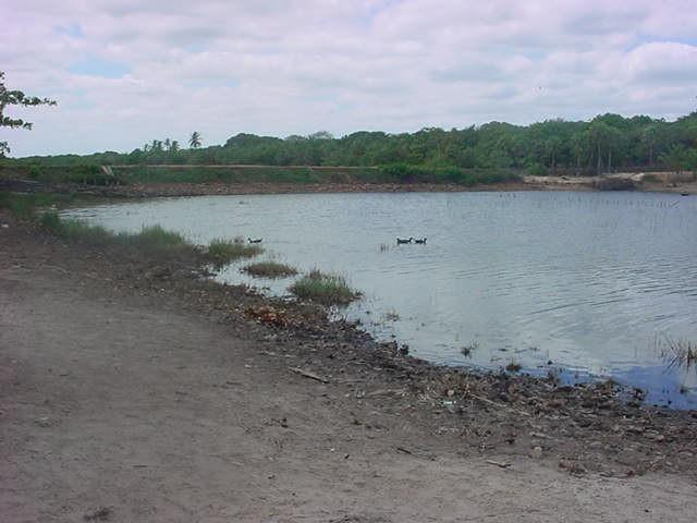 Lagoa da