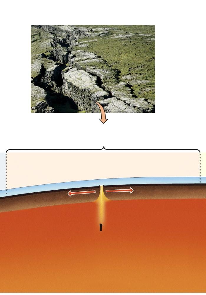 Limite de placa divergente PLATE DIVERGENCE Mid-ocean ridge Basaltic