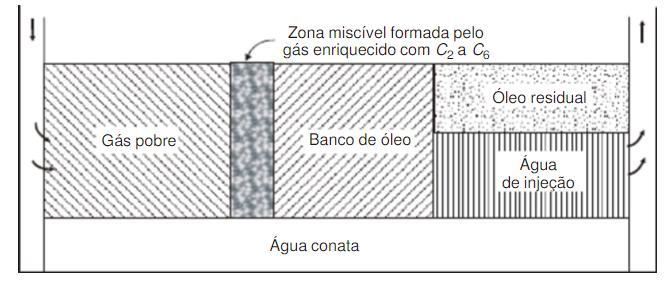 2.5.1.3 Injeção de Gás Seco a Alta Pressão Processo: Conforme Rosa et al.