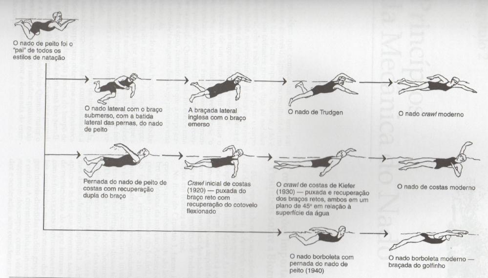 Evolução dos 4 nados No âmbito mundial quem