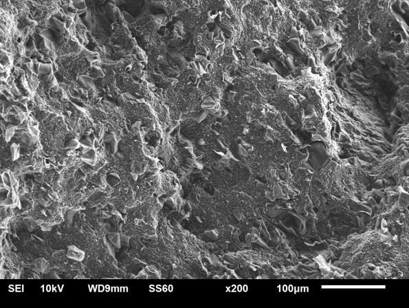 A microscopia da superfície de fratura das amostras com 10% de cortiça mostra as