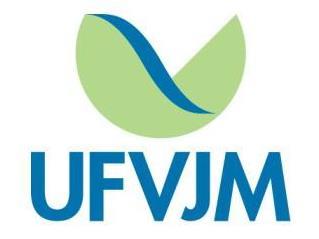 UFVJM Brasil http://lattes.cnpq.br/3832130931221600 E-mail: leandro_palhares@yahoo.com.br Prof. Dr.