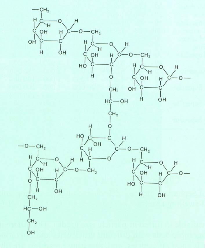 bis-acrilamida) 50 µm