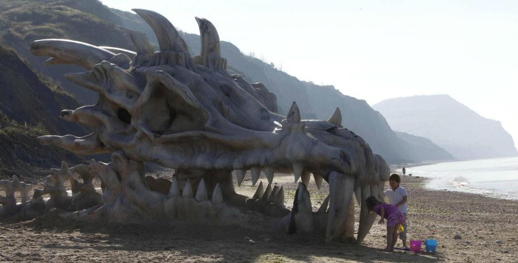 jpg> Figura 4: Crânio de dragão em praia do Reino Unido, realizado pelo serviço de
