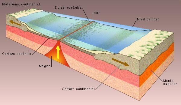 Dorsais Oceânicas São relevos do fundo oceânico, reveladores de intensa actividade geológica; São zonas em que a erosão é praticamente nula, pelo que assumem um papel importante na