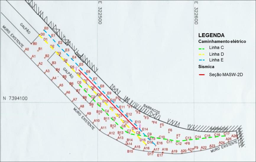 Figura 2. Localização das linhas dos ensaios geofísicos realizados na área investigada.