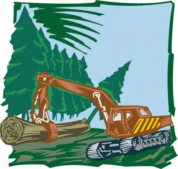 EFEITOS DA POLUIÇÃO Esgotamento dos recursos naturais Destruição das florestas Assimetria na distribuição da riqueza
