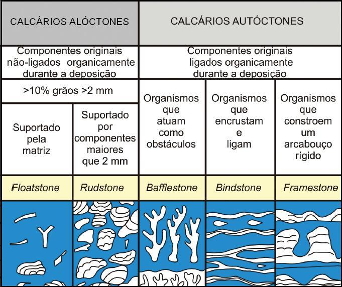44 A presença de grãos nas rochas carbonáticas permite que as denominações descritas anteriormente sejam complementadas, com a inclusão da preposição com, mais um termo composicional: oólitos,
