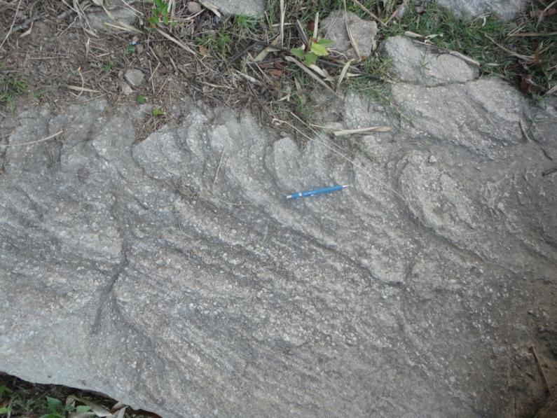 N Neste aflorameno da Formação Morro do Chaves, foram encontradas feições que indicam a paleocorrente das coquinas neomorfizadas.