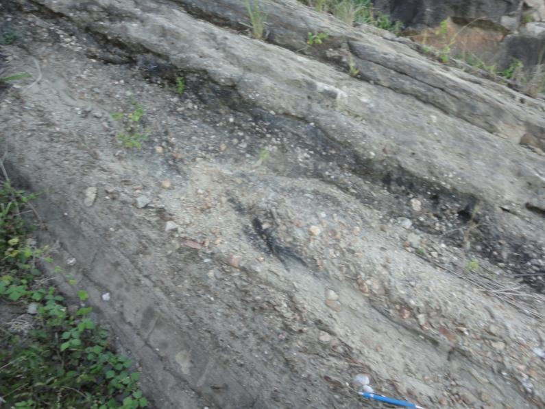 N Também ocorrem fluxos de grãos detríticos constituído de conglomerados de filitos e quartzo leitoso, provenientes do embasamento, que se intercalam com os arenitos (Foto 09) e feições de