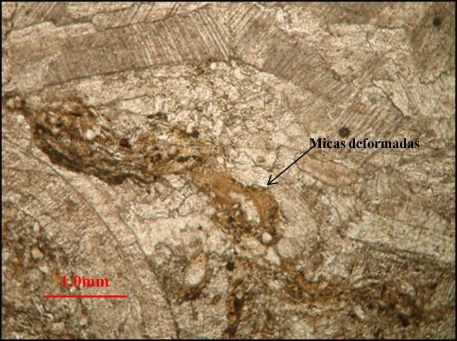 69 Fotomicrografia 155: Micas deformadas e lixiviadas parte da matriz desta rocha.