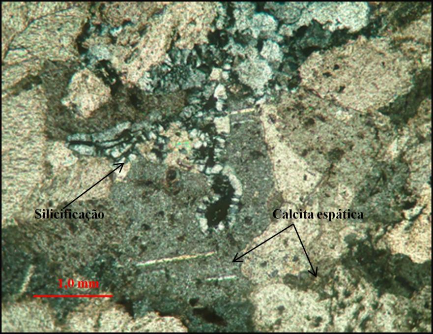71 As feições diagenéticas, comumente encontradas, são silicificação (Fotomicrografia 18 e 19) e a cimentação do tipo calcita espática e