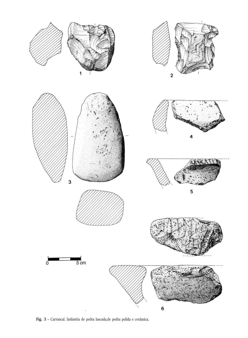 2 4 5 o 3cm,, 6 Fig. 3 - Carrascal.