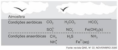 Pode-se observar na figura que, nas condições aeróbicas, têm-se espécies oxidadas e, perto do fundo, têm-se as condições anaeróbicas e as espécies na forma mais reduzidas dos mesmos elementos.