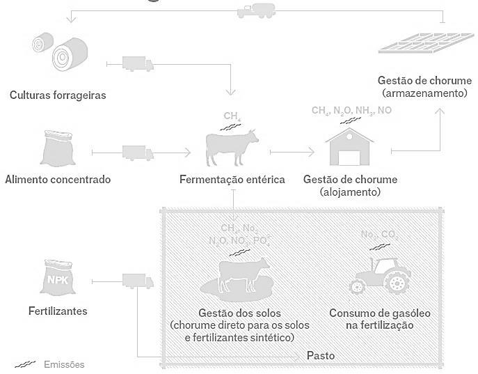 ACV dos Lacticínios Leite Cru