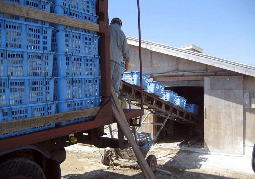 Figura 60: Exemplo de veículo próprio para o transporte de frangos de corte ao abatedouro O microclima no compartimento das aves no veículo de transporte será diferente da temperatura e umidade