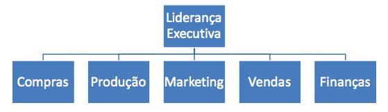 2.1 MELHORIA DE E Estrutura organizacional orientada por funções representa tipicamente um agrupamento (departamento, divisão, área) de executores especializados para realizar tarefas relacionadas a