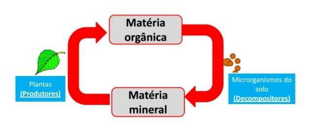 Produtores -> Consumidores ->