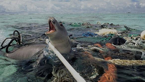 .. Poluição dos oceanos