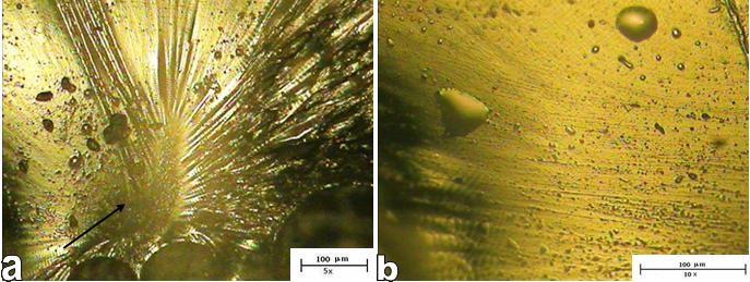 Figura 8 Micrografia ótica do (a) local da fratura frágil e (b) das bolhas de ar aprisionadas na resina.