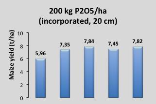 Lanço 0 50 100 Dose de P 2 O 5