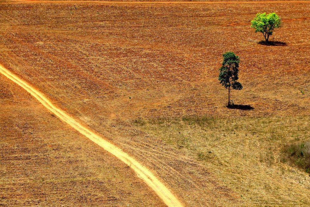 (O)eco.org, 13 de julho de 2016 Desmate zero é viável, dizem economistas Por: Claudio Angelo Evitar a cena acima custaria 5,2 bilhões por ano. Foto: Ana Costa/Flickr.