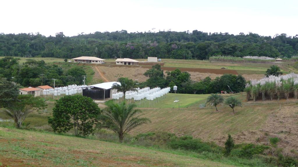 Estação de Hibridação