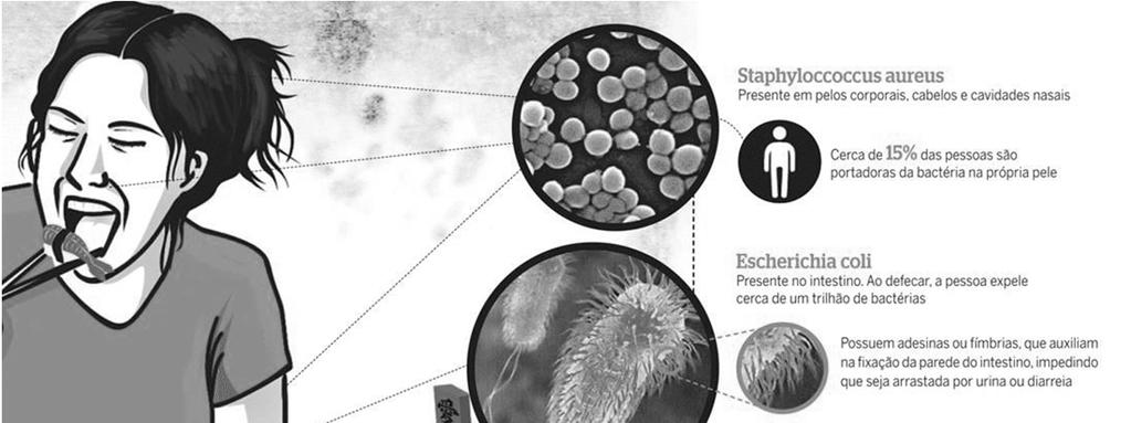 Biofilmes nas unidades processadoras de alimentos e nas indústrias Microrganismos com