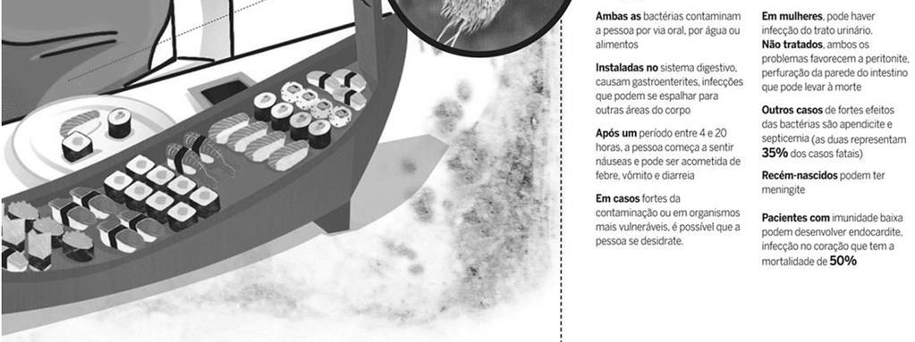 comunidade de microrganismos presentes em um biofilme: Escherichia coli; Salmonella